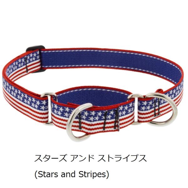 【限定色】ルパイン コンボカラー Lサイズ(首回り39-55cm・49-68cmｘ幅25mm)