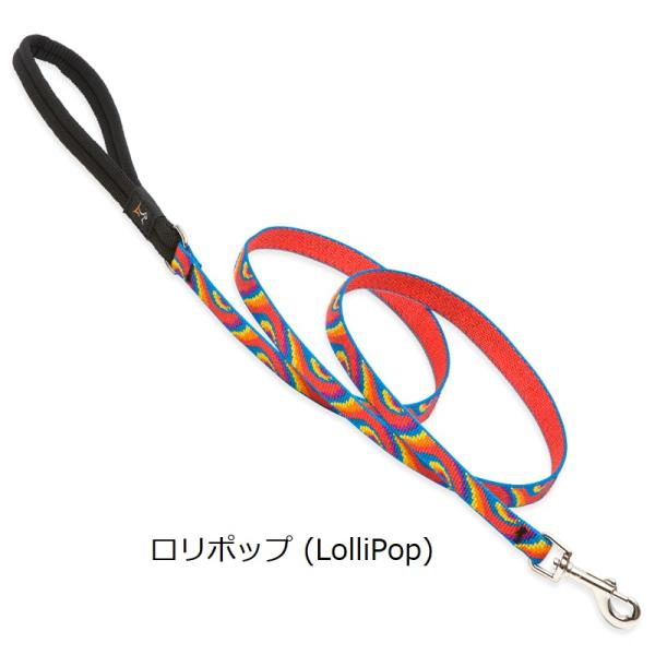 ルパイン リード Sサイズ(長さ122cm・183cmｘ幅12mm)