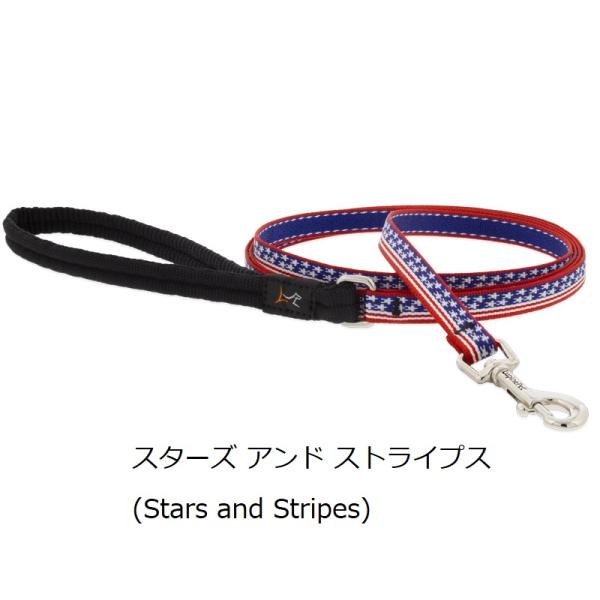 【限定色】ルパイン リード Sサイズ(長さ122cm・183cmｘ幅12mm)