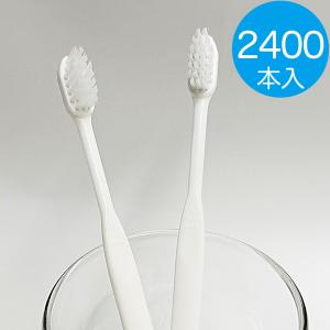 使い捨て 歯ブラシセット 業務用 26穴 200本 リリー チューブ付 200