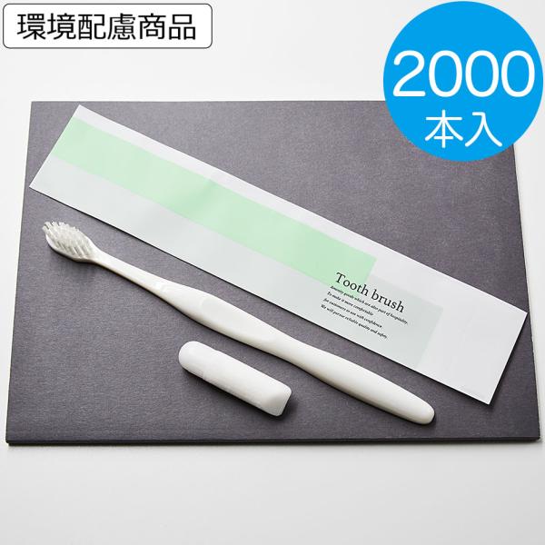 歯ブラシセット　サニー  2000本 使い捨て 業務用 26穴 チューブ付