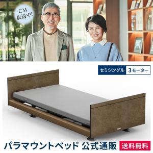 パラマウントベッド 電動ベッド インタイム1000 セミシングル