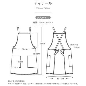エプロン コットン ワンピース風 大人 女性 ...の詳細画像2