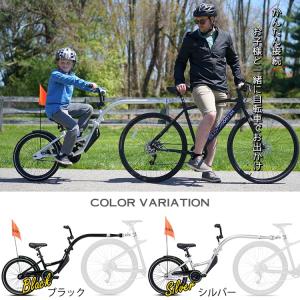 補助自転車 ポタリング 20インチ 2人乗り ...の詳細画像1