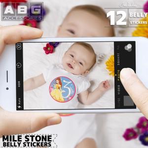マイルストーン ベリー ステッカー ディズニー プリンセス 12ヶ月 出産祝い 寝相アート 月齢 シール フォト ナンバー Disney Y 最安値 価格比較 Yahoo ショッピング 口コミ 評判からも探せる