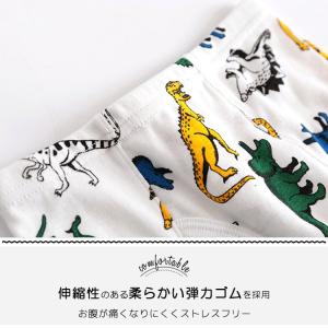 セット割/ 子供 下着 男の子 パンツ 3枚組...の詳細画像5