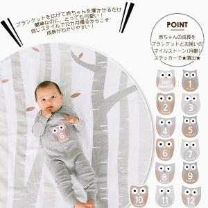 ペアヘッド フォト ブランケット オウル スワ...の詳細画像2