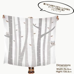 ペアヘッド フォト ブランケット オウル スワ...の詳細画像3