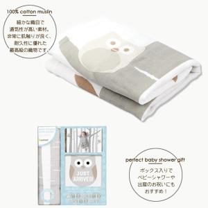 ペアヘッド フォト ブランケット オウル スワ...の詳細画像4