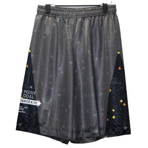 メール便OK Team Five APPL-089-12 メンズ リミテッド 昇華プラパン バスケットボールパンツ バスパン グレー
