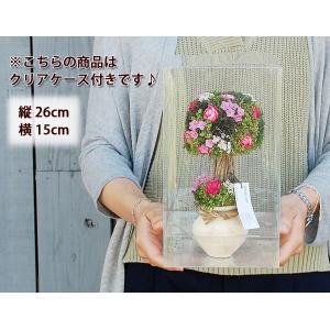 キャンディトピアリーM 誕生日プレゼント 花 ...の詳細画像4