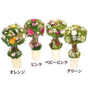誕生日プレゼント 誕生日 ギフト 花 ドライフ...の詳細画像4