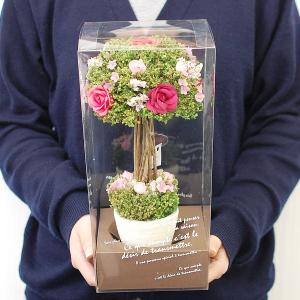 誕生日プレゼント 誕生日 ギフト 花 ドライフ...の詳細画像5
