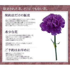 【売り尽くしセール】ムーンダストの花束(L)3...の詳細画像4