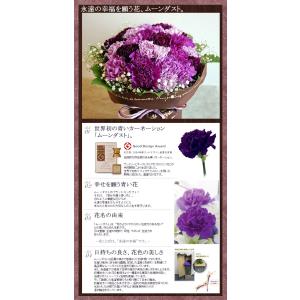ムーンダストの花束(M) 24本 母の日 ギフ...の詳細画像5
