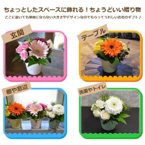 誕生日プレゼント 花 ギフト おすすめ フラワ...の詳細画像1