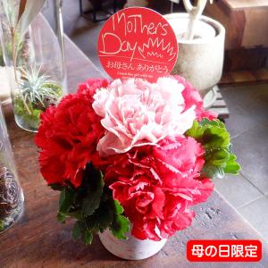 誕生日プレゼント 花 ギフト おすすめ フラワ...の詳細画像5