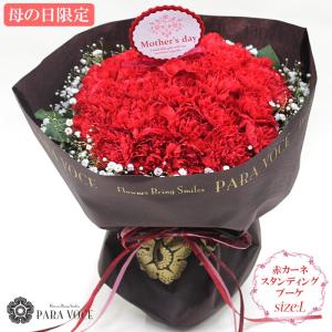 母の日 花 ギフト 2025母の日ギフト 母の日 カーネーション 花瓶が要らない花束 赤いカーネーションのスタンディングブーケ Lサイズ 36本