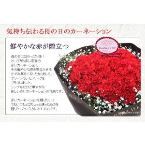 母の日 ギフト 花とスイーツ カーネーション ...の詳細画像2