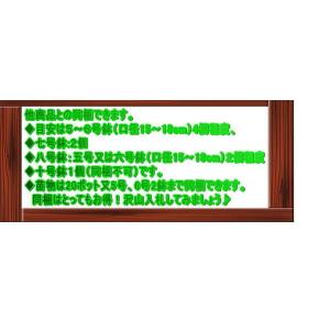 人気の観葉植物モンステラ(六号鉢)の詳細画像2