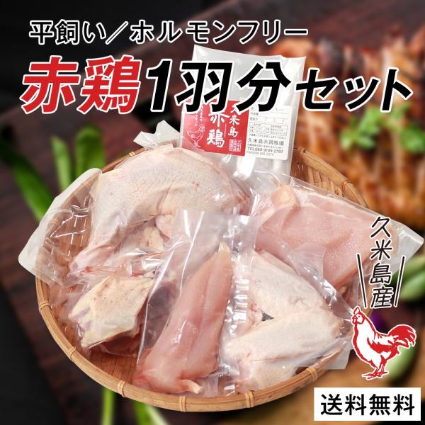 国産 鶏肉セット 冷凍 ホルモンフリー&amp;抗生物質不使用の平飼い鶏肉｜沖縄育ちの健康チキン【一羽分セッ...