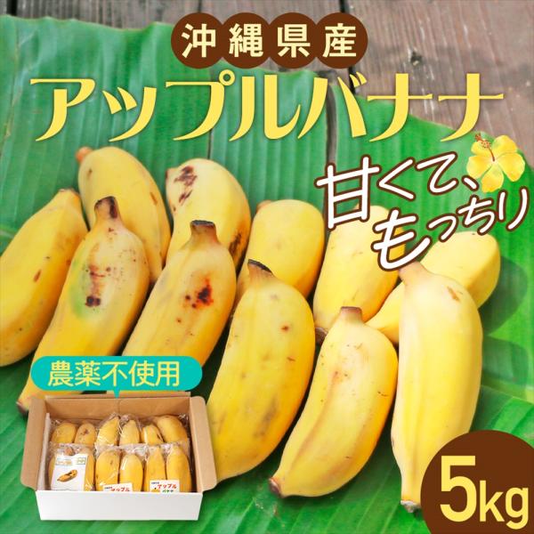 沖縄県産 果物 バナナ 国産 アップルバナナ（約5kg）【2026年夏発送】送料無料