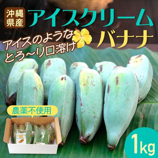 沖縄県産 果物 バナナ 国産 アイスクリームバナナ（約1kg）【2026年夏発送】送料無料