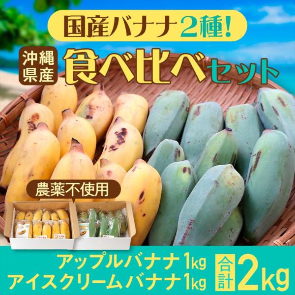沖縄県産 果物 バナナ 国産バナナ食べ比べセット (計2kg）送料無料【2026年夏発送】