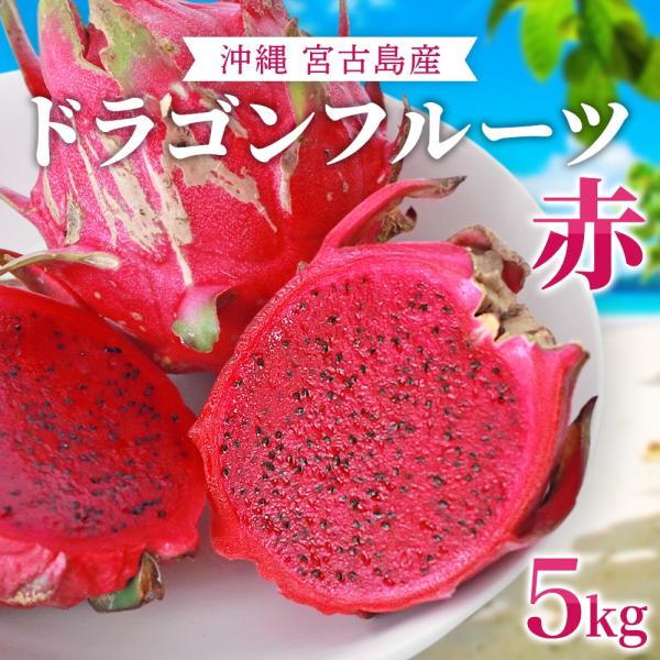 ドラゴンフルーツ 赤 5kg（大玉約8〜15玉）｜送料無料｜沖縄産 無農薬 宮古島から産地直送｜甘く...