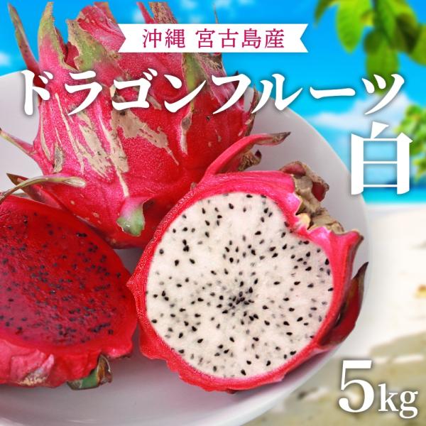 ドラゴンフルーツ 白 5kg｜送料無料｜沖縄産 無農薬 宮古島から産地直送｜甘くて美味しい ホワイト...