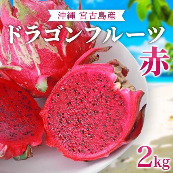 ドラゴンフルーツ 赤 2kg（大玉約4〜7玉）｜送料無料｜沖縄産 無農薬 宮古島から産地直送｜甘くて...