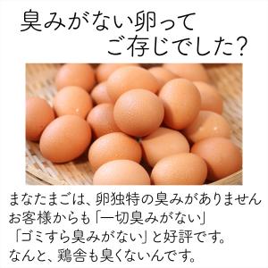 抗生物質不使用・ワクチン不使用 EM菌育ちの沖...の詳細画像1