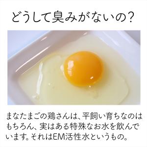 抗生物質不使用・ワクチン不使用 EM菌育ちの沖...の詳細画像2