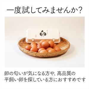 抗生物質不使用・ワクチン不使用 EM菌育ちの沖...の詳細画像5