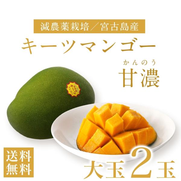 産地直送・沖縄・宮古島産 キーツマンゴー甘濃(かんのう)《2玉》大玉｜減農薬栽培・自然栽培でチーズケ...