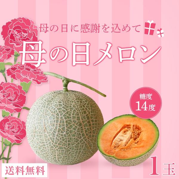 2026 母の日 ギフト 母の日メロン (大玉1玉) ミニ カーネーション付き｜沖縄・宮古島産メロン