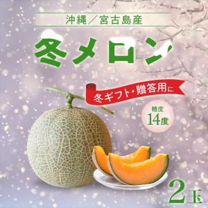 メロン 沖縄・宮古島産 冬メロン 2玉（中玉）計2.4kg以上・糖度14度保障！果物 フルーツ ギフト 高級 赤肉メロン 送料無料