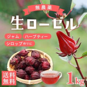 ローゼルハイビスカス 生 果実｜ローゼル 1kg｜無農薬