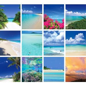 カレンダー 2026 卓上 海 風景|沖縄 宮...の詳細画像3
