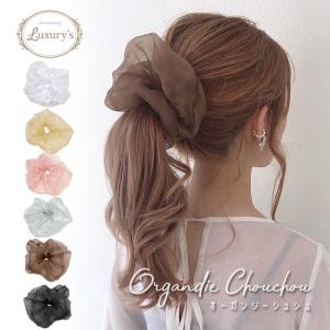 オーガンジー ボリューム シュシュ ビッグ 透け シフォン シアー ビッグシュシュ ヘアゴム ヘアアクセサリー シースルー レディース ファッション 可愛い 女性｜pariskids-net