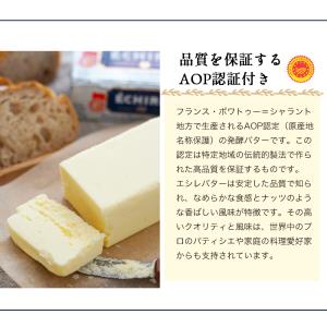 送料無料 エシレバター 有塩100g×5個セットの詳細画像2