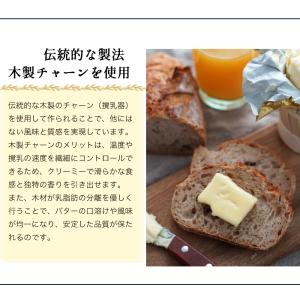 送料無料 エシレバター 有塩100g×5個セットの詳細画像3
