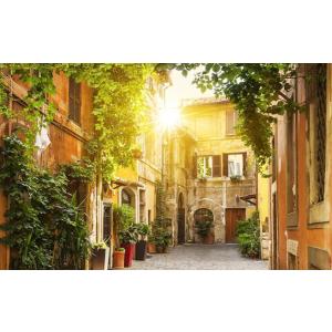 ウォールステッカー 壁紙 シール 貼ってはがせる 自然風景 壁紙 粘着式 防水 PVC DIY 壁装飾 防水 店舗 会社 オフィス 寝室 ホーム装飾 貼り付け簡単 150*100cm