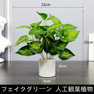 フェイクグリーン  人工観葉植物  鉢植え  インテリア 飾り  世話いらず 水やり不要 オフィス ホーム デコレーション｜parisroseno2