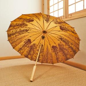 傘 長傘 日傘 晴雨兼用傘 16本骨傘 レディース メンズ