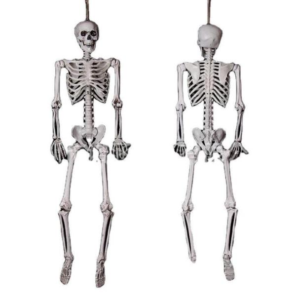 ハロウィン 飾り 骸骨 ドクロ 模型 モデル 人体 骨格 頭蓋骨 スケルトン 幽霊シミュレーション ...