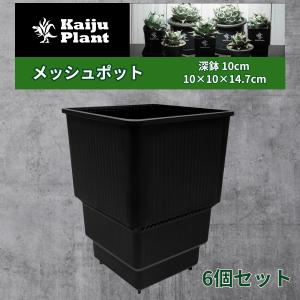 Kaiju Plant メッシュポット サークリングしない プラ鉢 アガベ Kaiju Plant メッシュポット サークリングしない プラ鉢 アガベ