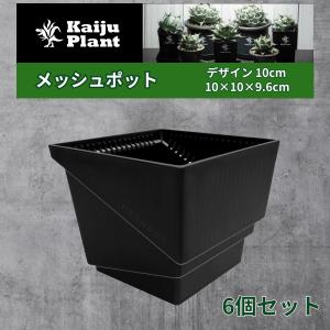 Kaiju Plant 大谷石 石鉢 Φ140mm x H120mm 0.7L アガベ 多肉 Kaiju Plant 大谷石 石鉢 Φ140mm x H120mm 0.7L アガベ 多肉
