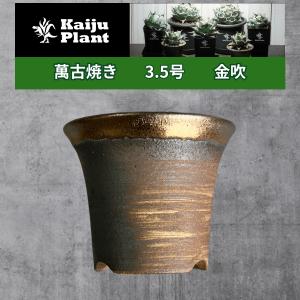 Kaiju Plant 大谷石 石鉢 Φ140mm x H120mm 0.7L アガベ 多肉 サボテン