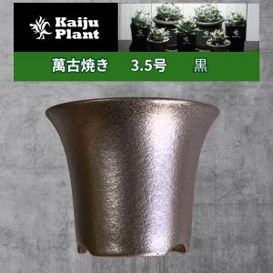 Kaiju Plant 萬古焼 3.5号 陶器鉢 ラッパ アガベ 多肉 塊根 用 1鉢